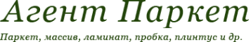 Логотип компании Айгентум
