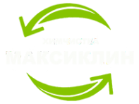 Логотип компании MAXI CLEAN