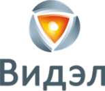 Логотип компании Видэл-СБ