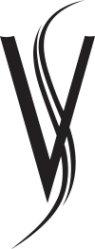 Логотип компании Визави Плюс
