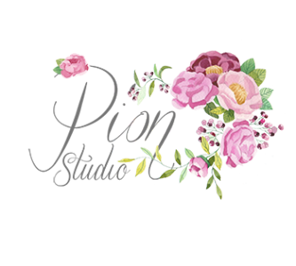 Логотип компании Pion Studio