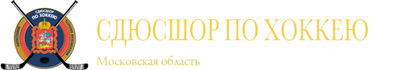 Логотип компании СДЮСШОР по хоккею