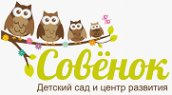 Логотип компании Совенок