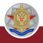 Логотип компании Профи-безопасность