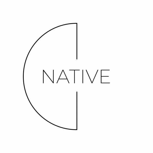 Логотип компании Native Family team